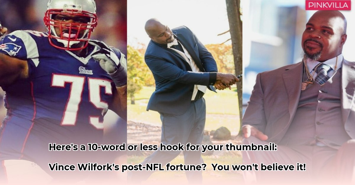vince-wilfork-net-worth